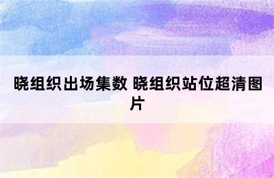 晓组织出场集数 晓组织站位超清图片